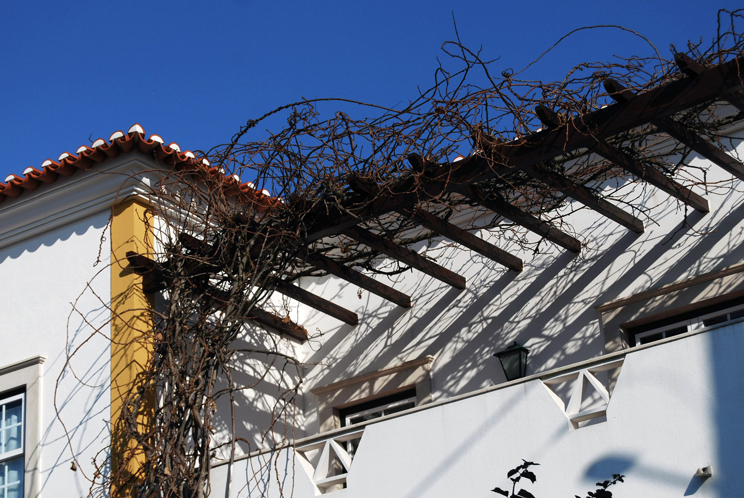 Casa de campo na Vermelha, 2005 — pérgula em madeira sobre a fachada